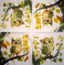116 Owls - ply - Kalamazoo - CS - 24x24cm